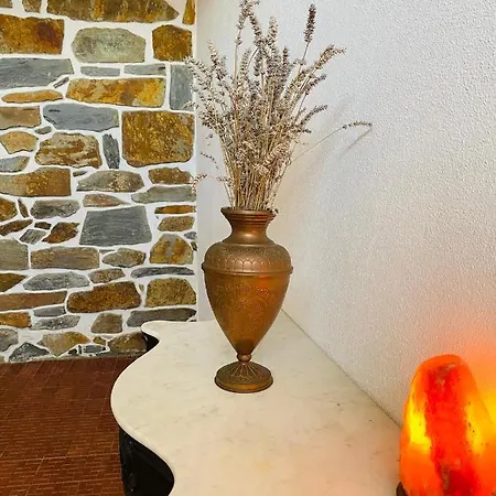 ホームステイ Casa Do Avo Sampaio *